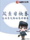 成亲日换妻,退婚后我转嫁高冷团长